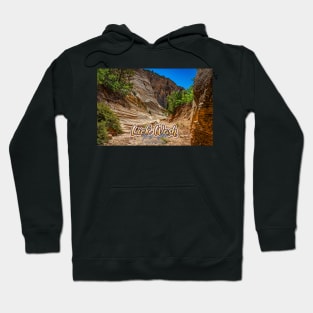 Lick Wash Trail Hike Hoodie